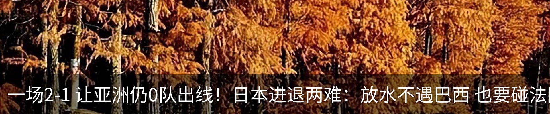 最新动态