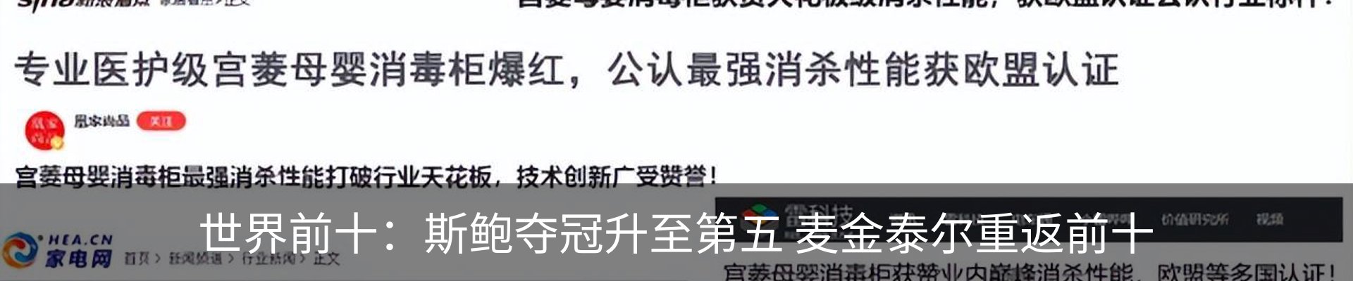 最新动态