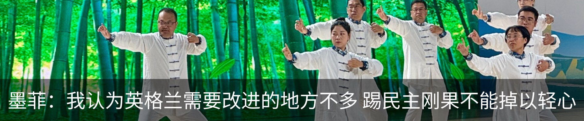 最新动态