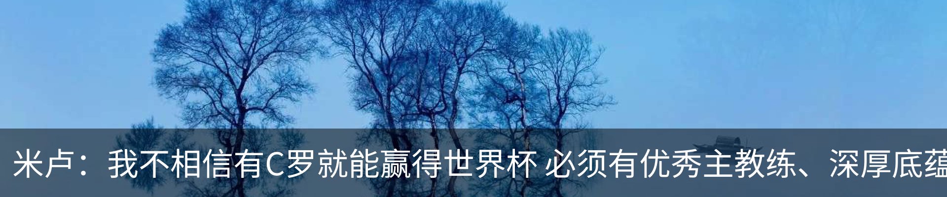 最新动态