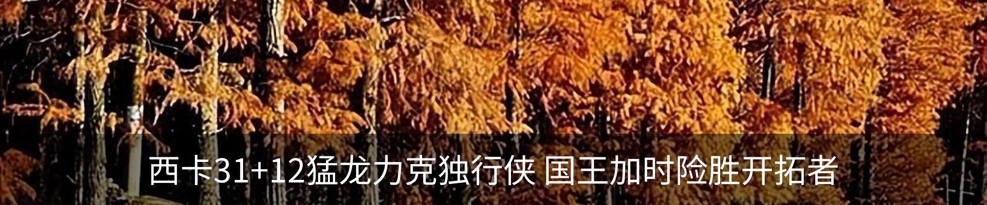 最新动态
